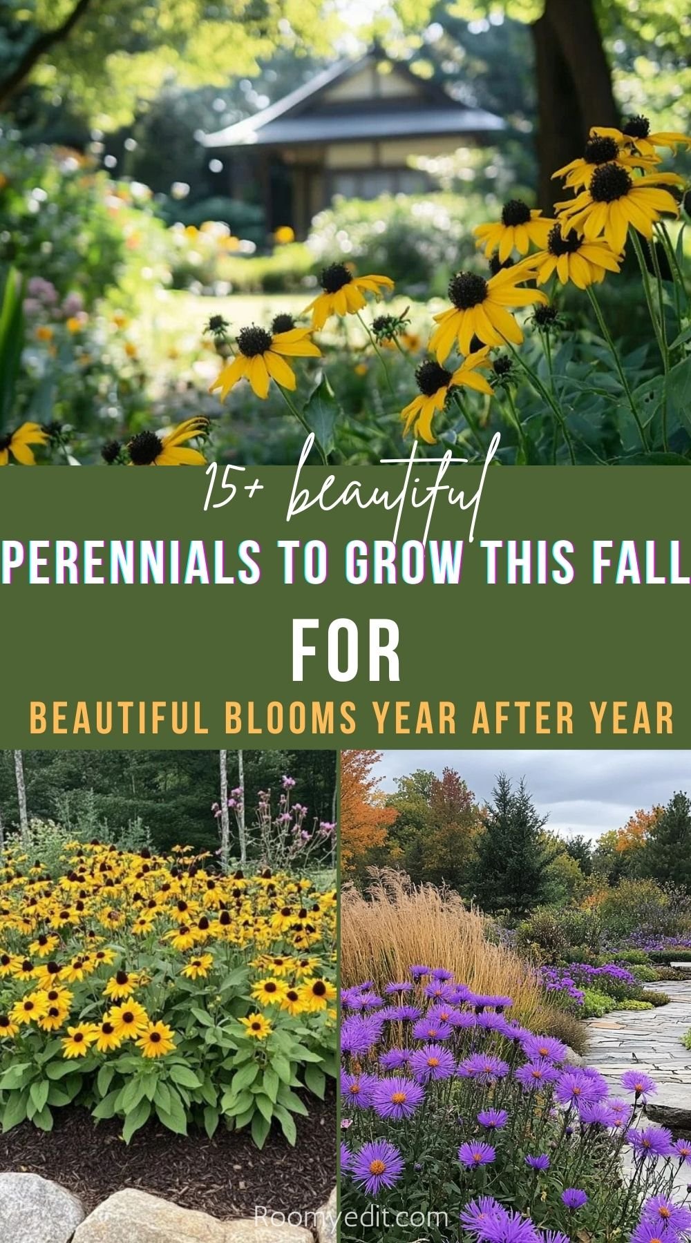 15+ beautiful Perennials to Grow This Fall for Beautiful Blooms Year After Year