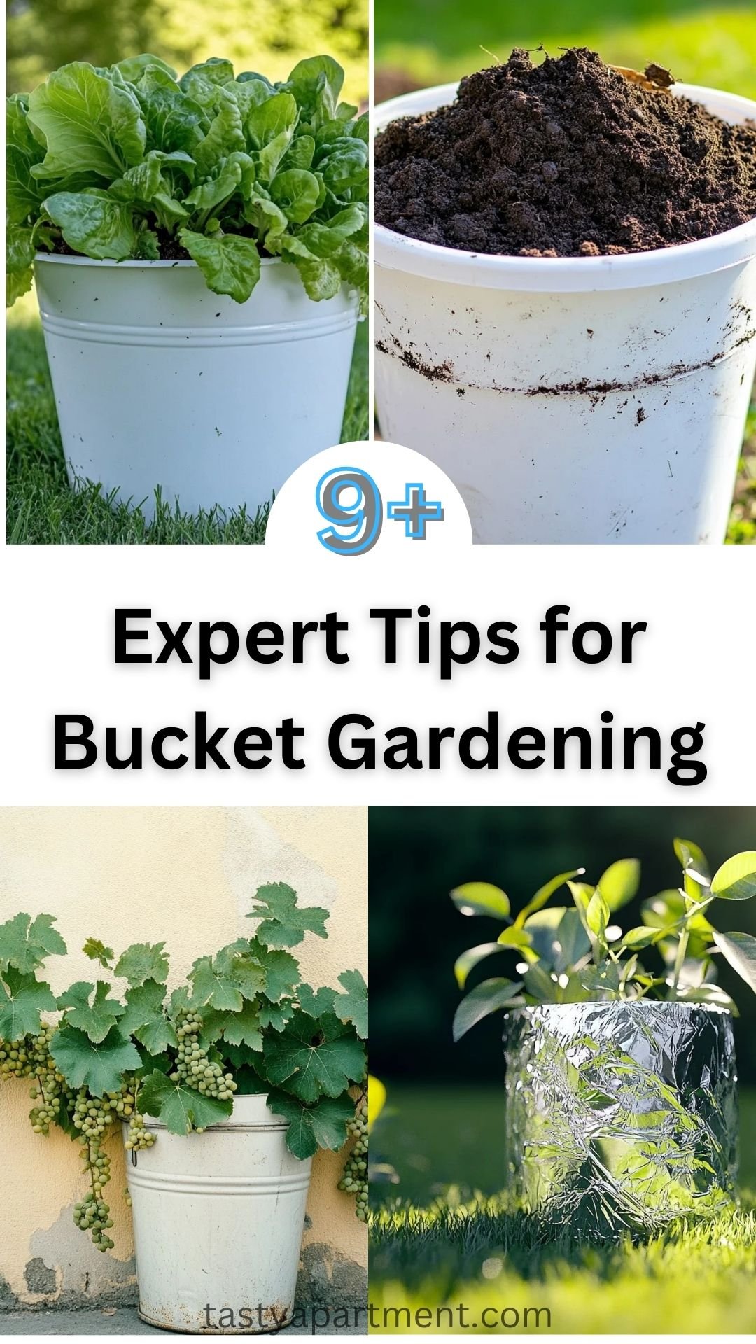 9+ Expert Tips for Bucket Gardening! 2025!